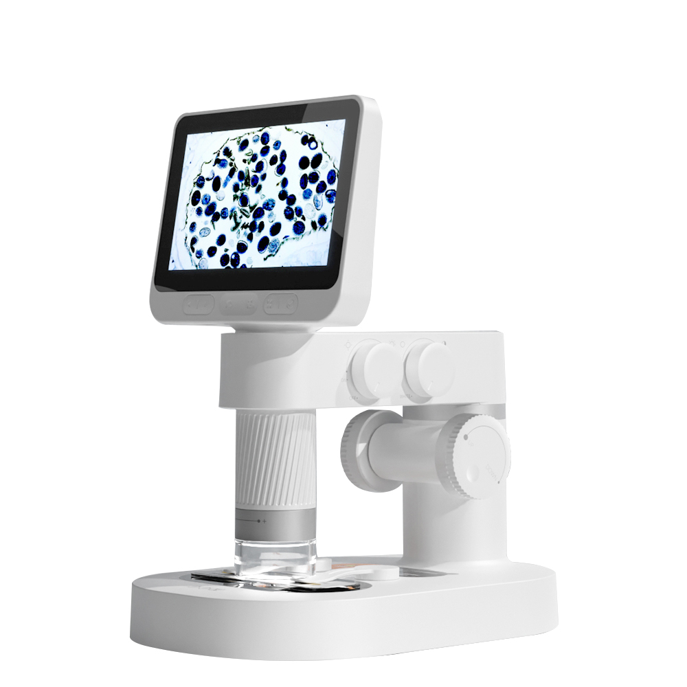 BeaverLab_M2-B-1000x1000_01.jpg