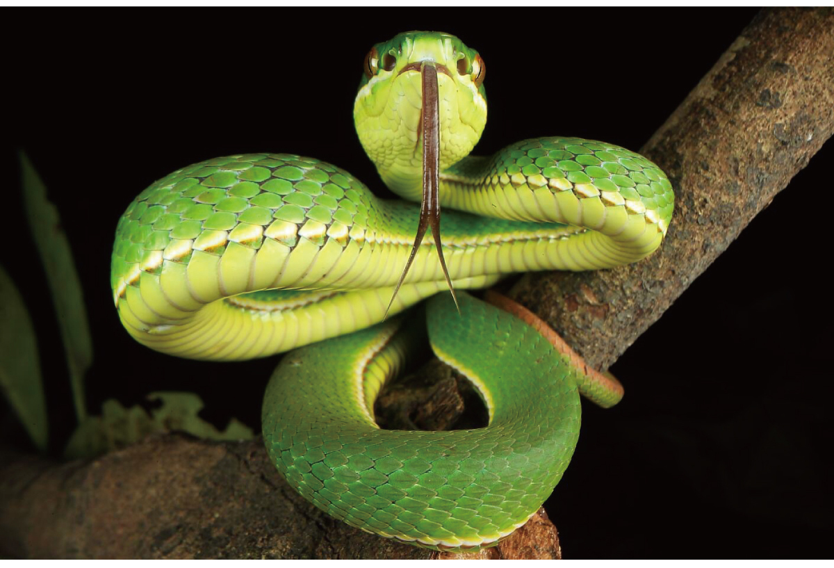 中野数位相机-dslr单眼相机-镜头-脚架-云台-包包 sony,canon,nikon